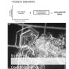 NZ Avy Industry fieldbk Title page 2025